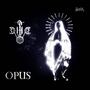 OPUS (Explicit)