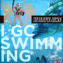 I Go Swimming (Cover)