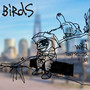 Birds (Explicit)