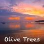 Olive Trees