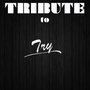 Try (Tribute to Pink)