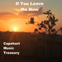 If You Leave Me now