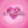 loving! (Explicit)