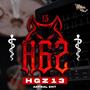 HGZ-13