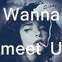 Wanna meet U