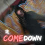 THE COME DOWN (Explicit)