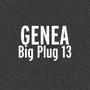 Big Plug 13