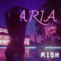 ARIA (Explicit)