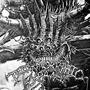 TERRAMORRPHIC EXPANSE (Explicit)