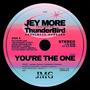 You're The One (feat. ThunderBird)