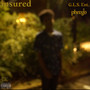 insured (Explicit)