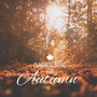 Classical Music for Autumn: Best Classical Pieces for Relaxing to Reduce Stress & Well Being