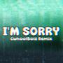 I'm Sorry (Explicit)