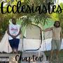 Ecclesiastes Chapter 1 (Explicit)