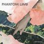 Phantom Limb