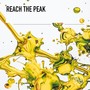 Reach the Peak