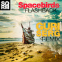 FLASHBACK (GURI SERG Remix)