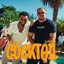 COCKTAIL (feat. LOGZ) [Explicit]