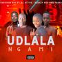 UDLALA NGAMI (feat. DJ Active, Beekay Rsa & Tasha)