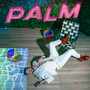 PALM (Explicit)