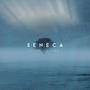 Seneca (Novo Amor Ambient Instrumental)