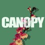 Canopy