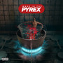 Made In The Pyrex (Explicit)