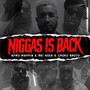 Niggas Is Back (Explicit)