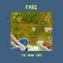 Fake (Explicit)