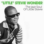 The Jazz Soul of Little Stevie