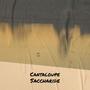 Cantaloupe Saccharide