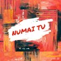 Numai Tu (Explicit Edition)