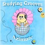 Studying Grooves
