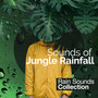 Sounds of Jungle Rainfall