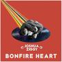 Bonfire Heart