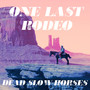 One Last Rodeo