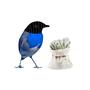 Morning Robbin' (Explicit)