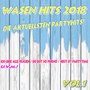 Wasen Hits 2018