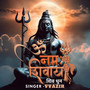 Om Namah Shivaay