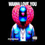 Wanna Love You (Explicit)