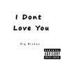 I Dont Love You (Explicit)