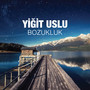 Bozukluk