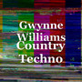 Country Techno