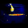 fOg (Explicit)