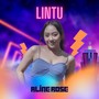 Lintu (Remix)