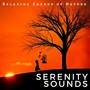 Serenity Sounds: Relaxing Energy of Nature, Rain, Rainforest, Birds, Crickets and River
