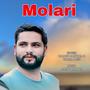 Molari