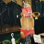 Don't Wanna Know / Rock & Roll Queen (Explicit)