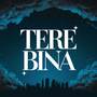 Tere Bina