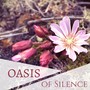 Oasis of Silence - Serenity Namaste Yoga & Meditation Music, Songs for Harmony